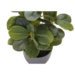 Artificial Ficus Elastica Plant (Set of 2)