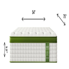 12" Hybrid Mattress With Gel Memory Foam & Pocket Springs - Green - Full