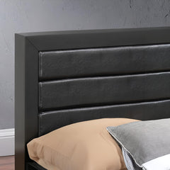 Elegant Queen Storage Bed - Black - Particle Board