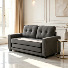 Upholstered Pull Out Sleeper Loveseat