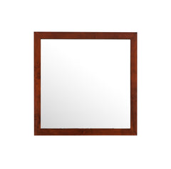 Burlington - Modern Design Transitional Wall Mirror