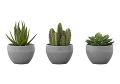 Artificial Succulent Plants (Set of 3)