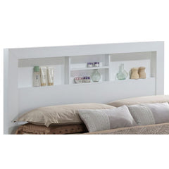 Bed With Transitional Design Stylish