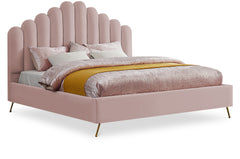 Lily - Bed