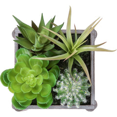 Artificial Succulent, Table Decor (Set of 2) - Green / Dark Gray
