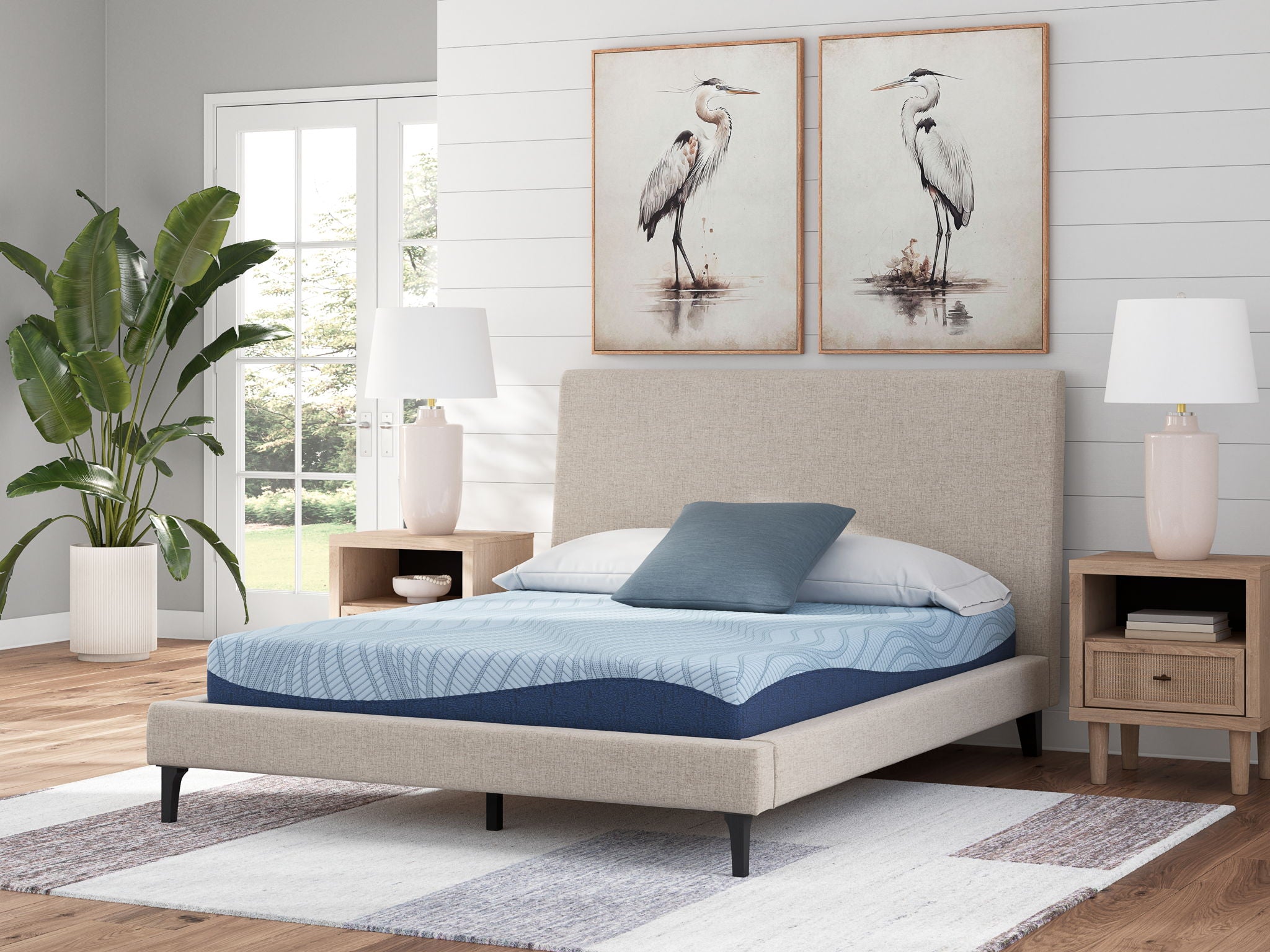 Sleep & Bedding