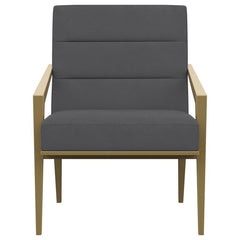 Kirra - Upholstered Metal Arm Accent Chair