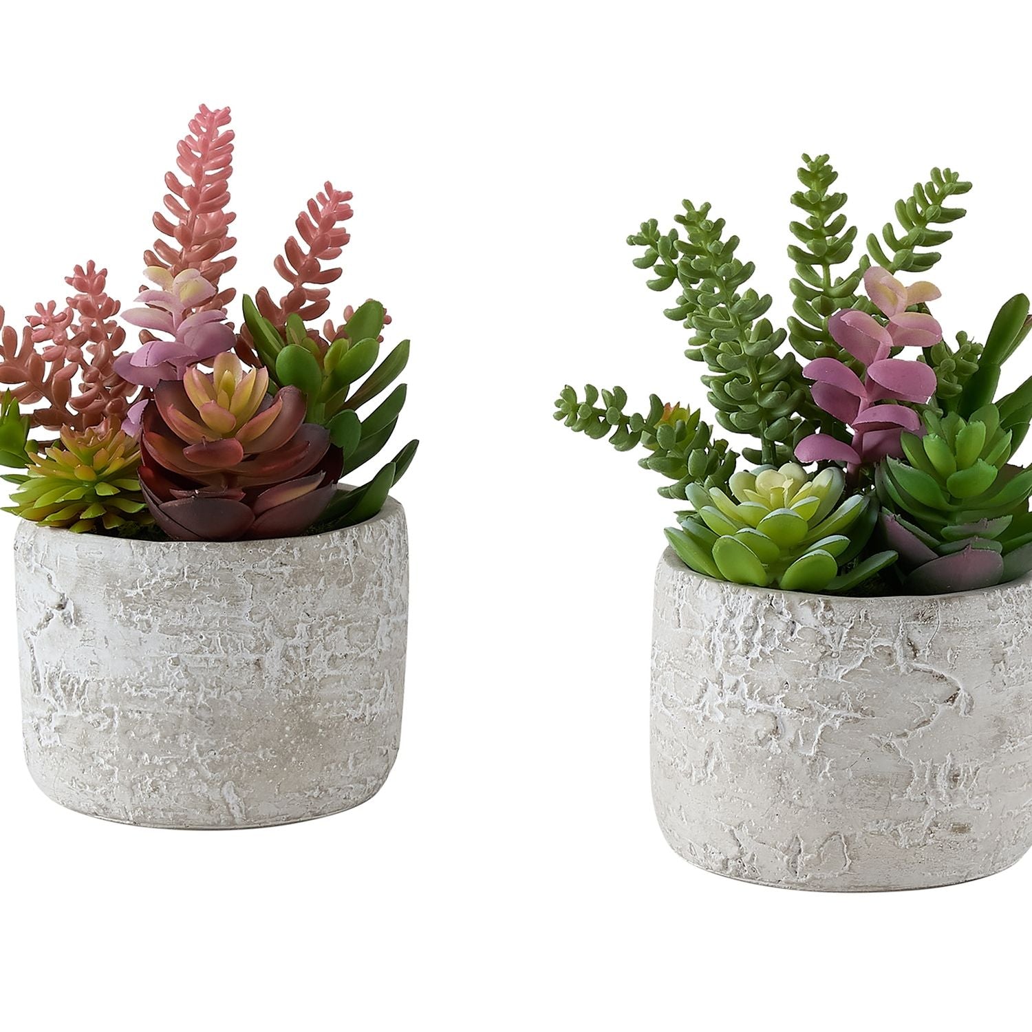 Artificial Succulent, Table Decor (Set of 2) - Green / Gray - Plastic