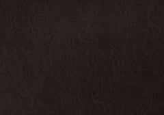 Queen Size, Bed Headboard Only, Upholstered, Transitional - Brown