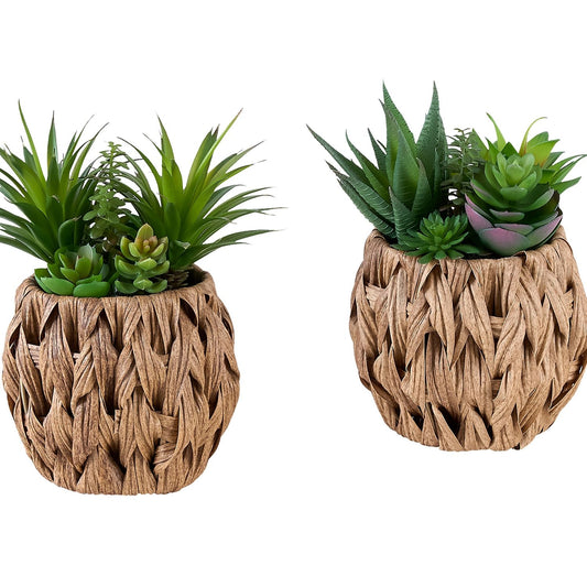 Artificial Succulent, Table Decor (Set of 2) - Green