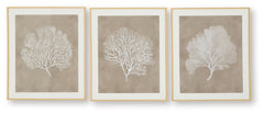 Hendridge - Taupe / White - Wall Art Set (Set of 3)
