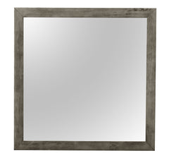 Modern Design Transitional Wall Mirror