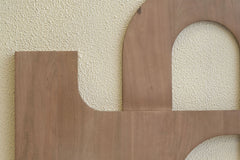 Arid - Mango Wood Wall Decor