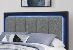 Emma - Queen Bed With LED And USB - Black / Gray