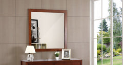 Modern Design Transitional Wall Mirror