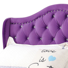 Upholstered Velvet Bed Transitional