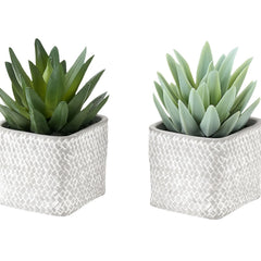 Artificial Succulent, Table Decor (Set of 2) - Green / Gray