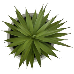 Artificial Succulent, Table Decor (Set of 2) - Green - Plastic