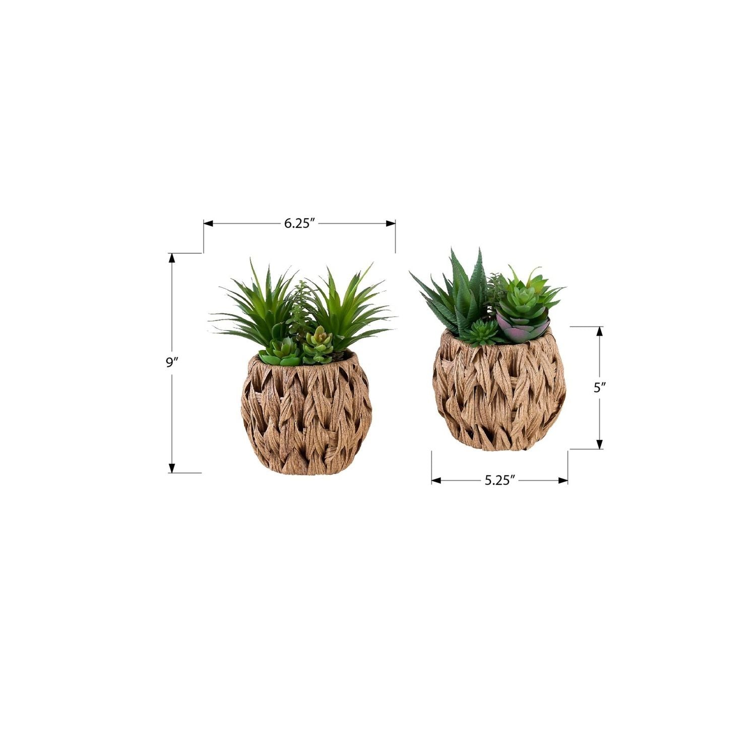 Artificial Succulent, Table Decor (Set of 2) - Green
