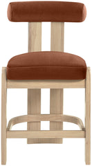 Arienzo - Velvet Performance Fabric Upholstered Counter Stool (Set of 2)