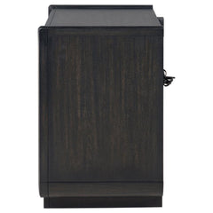 Leandro - 2-Drawer LED Nightstand With USB - Burnished Black