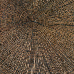 Cammund Accent Table (Set of 2)