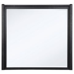 Leandro - Dresser Mirror - Burnished Black