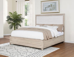 Pembroke - Panel Bed