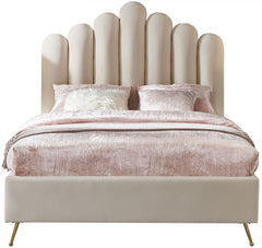 Lily - Bed