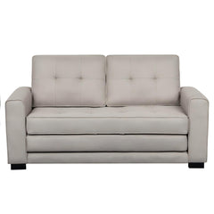 Upholstered Pull Out Sleeper Loveseat