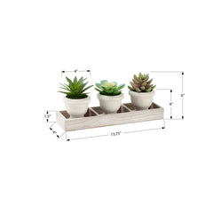 Artificial Succulent, Table Decor (Set of 3) - Green / Beige