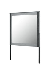 Logan - Mirror - Silver