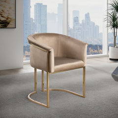 Tierra - Dining Chair