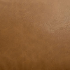 Stylish Club Armchair For Living Room
