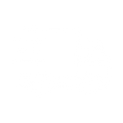Fast Shipping